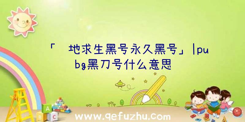 「绝地求生黑号永久黑号」|pubg黑刀号什么意思